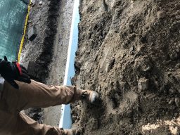 Photo_2019-02-04,_10_03_18_AM