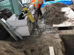 Photo_2019-02-04,_9_49_53_AM