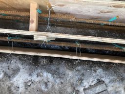 Photo_2019-02-08,_9_26_08_AM