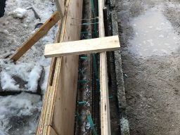 Photo_2019-02-14,_2_02_39_PM