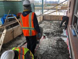 Photo_2019-02-15,_12_52_29_PM