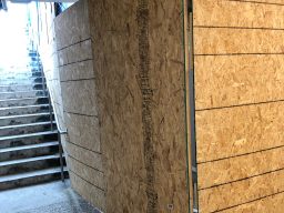 Photo_2019-03-03,_11_08_50_AM