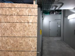 Photo_2019-03-03,_11_09_02_AM