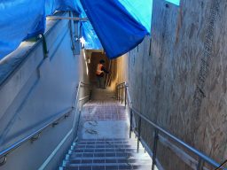 Photo_2019-03-03,_11_10_01_AM